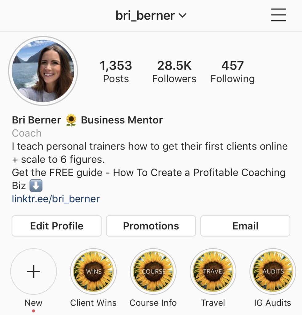 4 Steps To The Best IG Bio For Your Business | Bri Berner